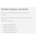 Paire de lacets pour Rangers ronds Coyote - Surplus militaire