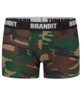 Boxershorts Logo Brandit