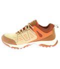 Chaussure de marche tige basse ABBOTS EV Elementerre Marron