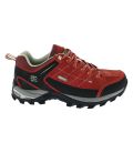 Chaussure de marche tige basse SONORA LOW EV Elementerre Brique